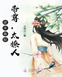 逆天医妃深度解析