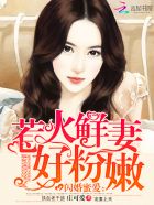 闪婚新妻惹人怜